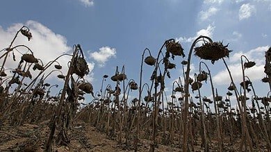 الطقس ينقلب تدريجيًا.. رياح قوية وحرارة تميل للبرودة