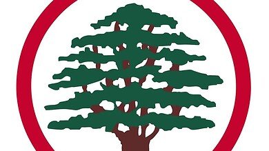 نقابة الصيادلة تتصدّر المشهد.. القوات تدعم لائحة “نقابة 2028” بقوة