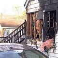 Five Family Members Dead in New Jersey Halloween House Fire