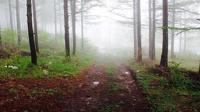 طقس لبنان يخفي مفاجأة بين الأحد والثلاثاء… ما المقبل؟