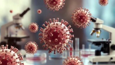 Washington Man Critically ill After Contracting Never-Before-Seen Virus