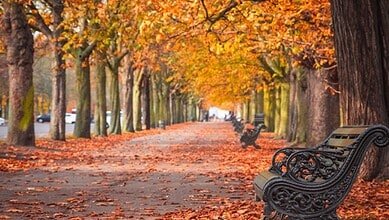 طقس مستقر يسيطر على لبنان وتحذير من الجليد ليلاً