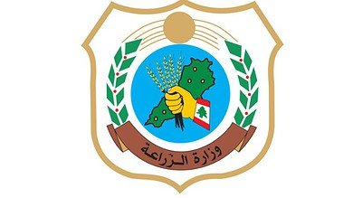 وزارة الزراعة تحسم الجدل حول باخرة الأبقار المصرية