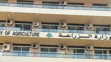 وزارة الزراعة تكشف أرقاماً لافتة بحملة مكافحة الحمى القلاعية