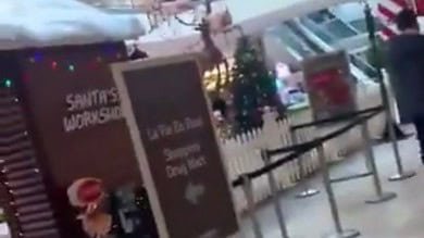 Video: Midday Robbery at Toronto Mall Ends With All Suspects Arrested