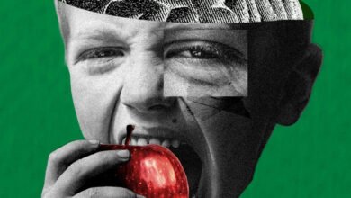 ما التأثير الوقائي لتناول الألياف على الدماغ والإدراك؟ #عاجل