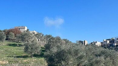 بالفيديو: غارة من مسيرة على "رابيد" في الخيام