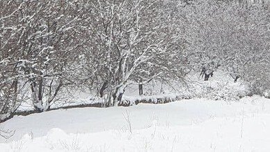 الرداء الأبيض يغطي تلال بعلبك والجرافات تفتح الطرقات