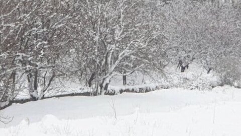 الطرقات الجبلية المقطوعة بسبب تراكم الثلوج