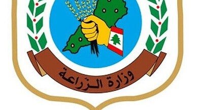 توقيع تعهد خطي بعد تعدي على شجرة أرز محمية في عكار