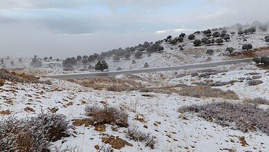 تنورين - اللقلوق مفتوحة للمركبات المجهزة فقط