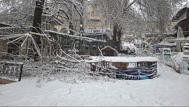 العاصفة الثلجية تُخلّف أضرارًا في أشجار الدلب بساحة إهدن
