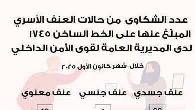 ارتفاع بلاغات العنف الأسري في لبنان خلال كانون الأول 2025