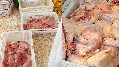 بالفيديو: توقيف سوريين ولبناني بملف دجاج غير صالح في سعدنايل