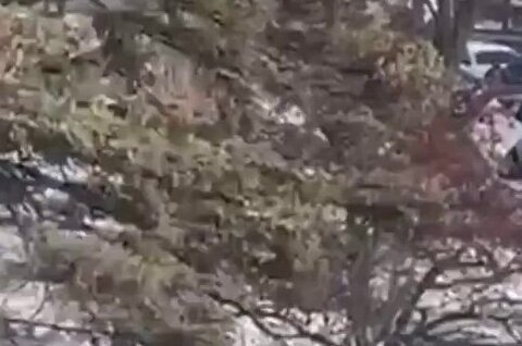 Another Angle Emerges of ICE-Involved Shooting in Minneapolis