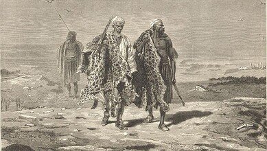 النمر العربي: جوهرة الجزيرة العربية المهددة بالانقراض #عاجل