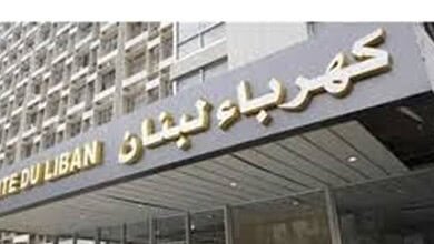 كهرباء لبنان تكشف حصيلة حملة واسعة ضد التعديات