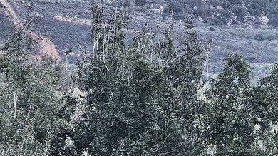 غارة على الوازعية في جبل الريحان