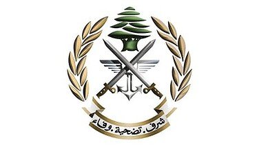 ضبط مخدرات وذخائر وتوقيف لبنانيين وسوري بعمليات دهم