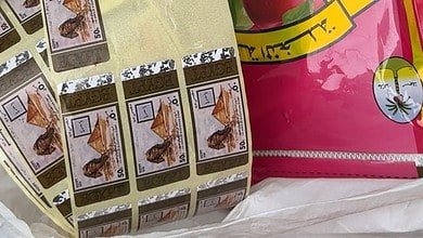 بالصور: الريجي تضبط ورشة تصنيع لتزوير المعسّل في بعلبك