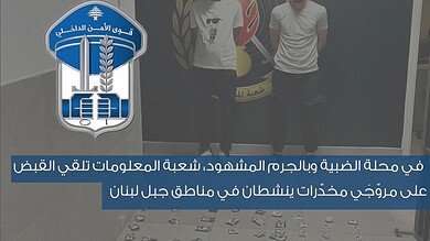 القبض على سوريين بترويج المخدرات في مناطق جبل لبنان