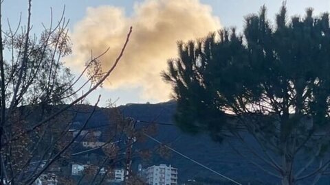 سجد والريحان