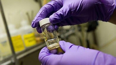 دراسة جديدة تجد أن "لقاح واحد قد يحمي من جميع أنواع السعال ونزلات البرد والإنفلونزا"