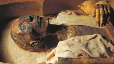 لغز الفرعون: هل رمسيس الثاني هو فرعون موسى الذي تحدث عنه الكتاب المقدس والقرآن؟