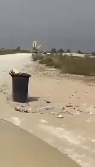 Video shows reported Patriot missile system intercepting aerial target in Kuwait