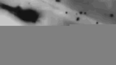 بالفيديو: اغتيال مسؤول إيراني في لبنان.. إسرائيل تكشف هويته