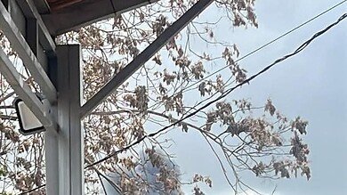 غارة على حي السرايا القديم في النبطية