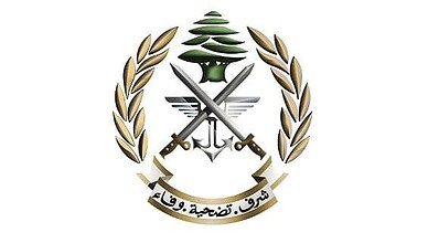 قيادة الجيش: استشهاد عسكريَّين نتيجة غارة إسرائيلية على طريق زبدين - النبطية
