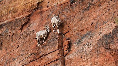 تسع نصائح تساعد على التأقلم خلال الأوقات المضطربة #عاجل