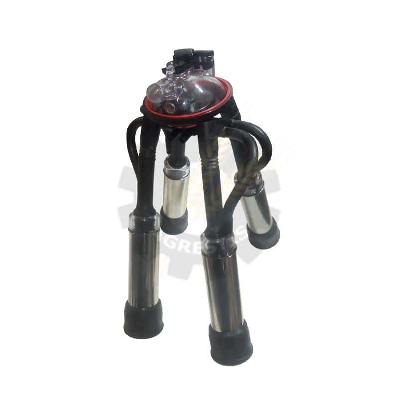 Grup de muls vaci 240 Melasty