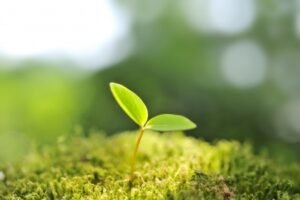 Hope for the Future | Homeschooling Torah