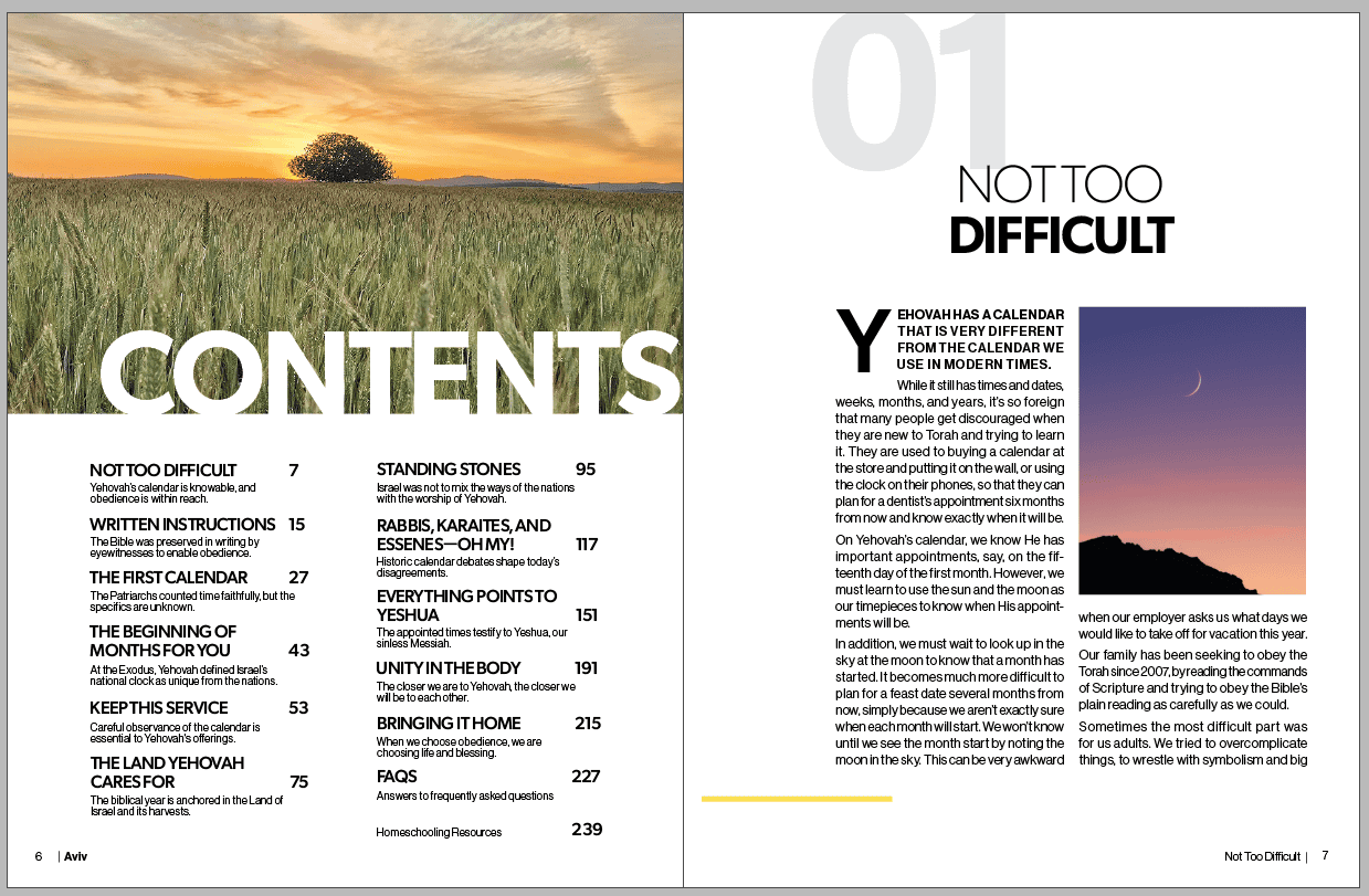 Aviv: The Torah Movement's Epic Struggle to Determine a True and Accurate Calendar - Image 2