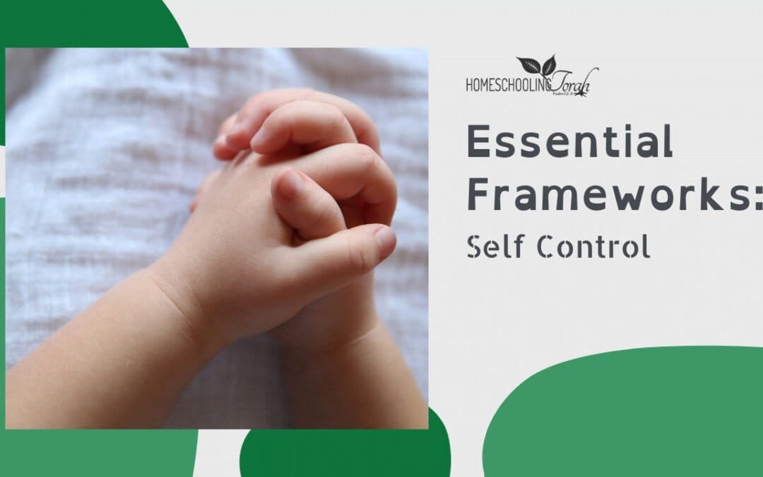 VIDEO: Essential Frameworks: Self Control
