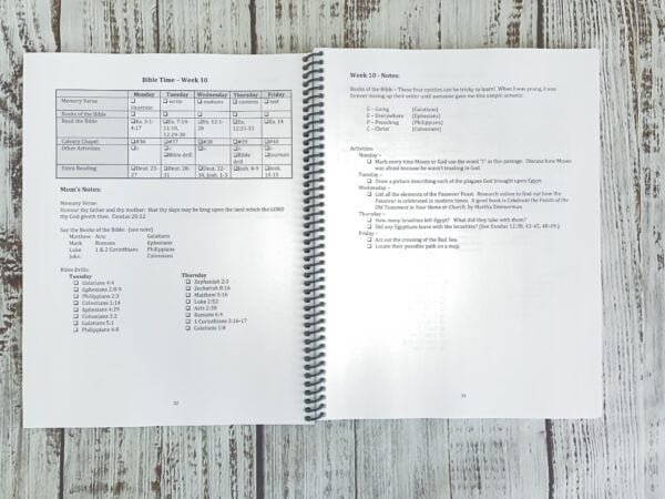 Foundations 1: Preparation for Christ - Image 4