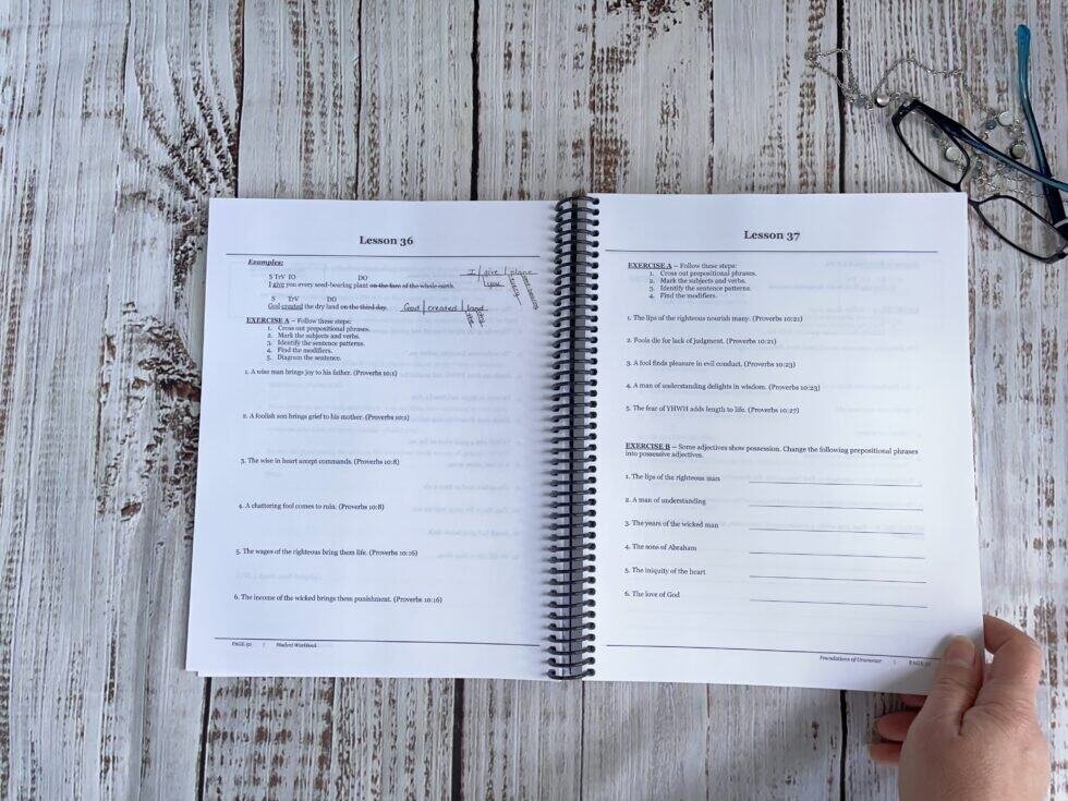 Foundations of Grammar: Student Workbook (Printed) - Image 3