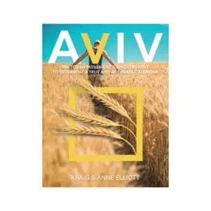 Aviv Book Front Cover