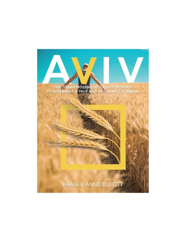 Aviv Book Front Cover
