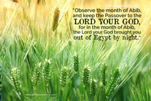 image from Christine Miller | http://www.alittleperspective.com