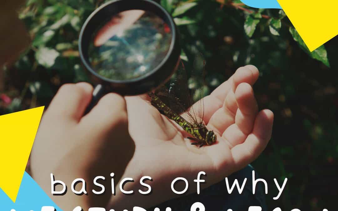 VIDEO: Why We Study and Learn