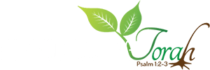 Homeschooling Torah