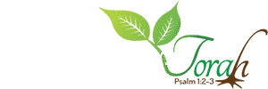 Homeschooling Torah