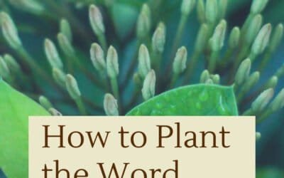 VIDEO: How to Plant the Word in Your Children’s Hearts