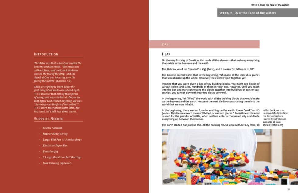 Foundations of Science: Science in Creation - Image 8