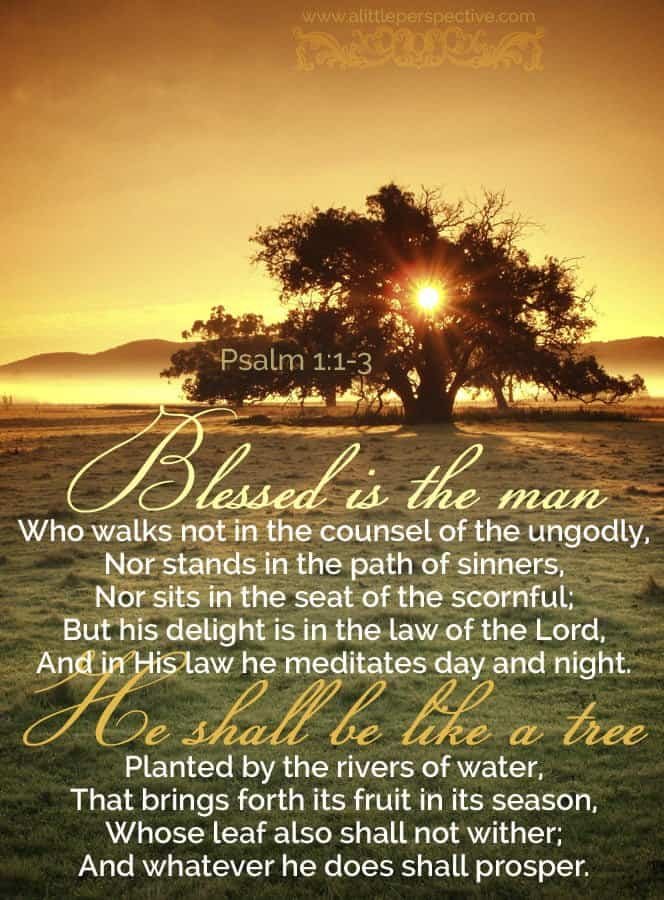 Psalm 1:1-3