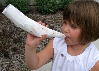 Yom T’ruah (Day of Shouting or Trumpets)