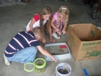 Study the science of God's creation